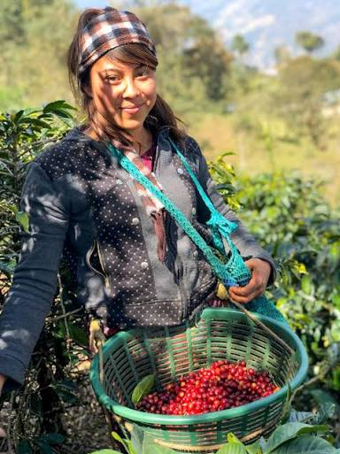 Guatemala La Morena - PROJECT COFFEE FOR GENDER EQUITY