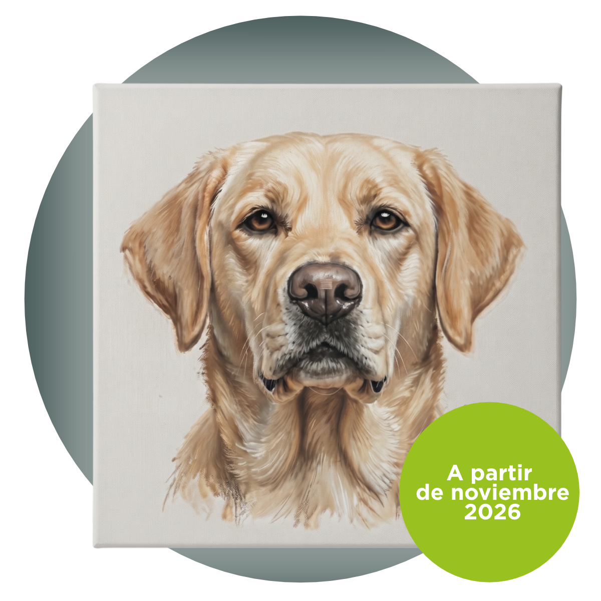 Retratos personalizados mascotas