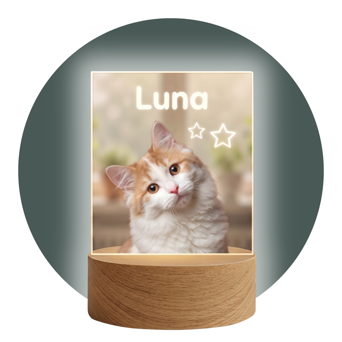 Lámparas Mascotas