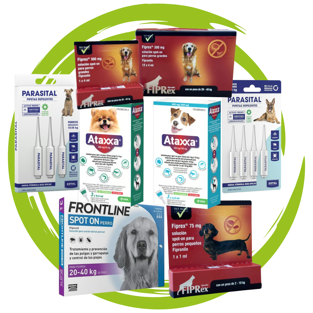 Pipetas antiparásitos perros