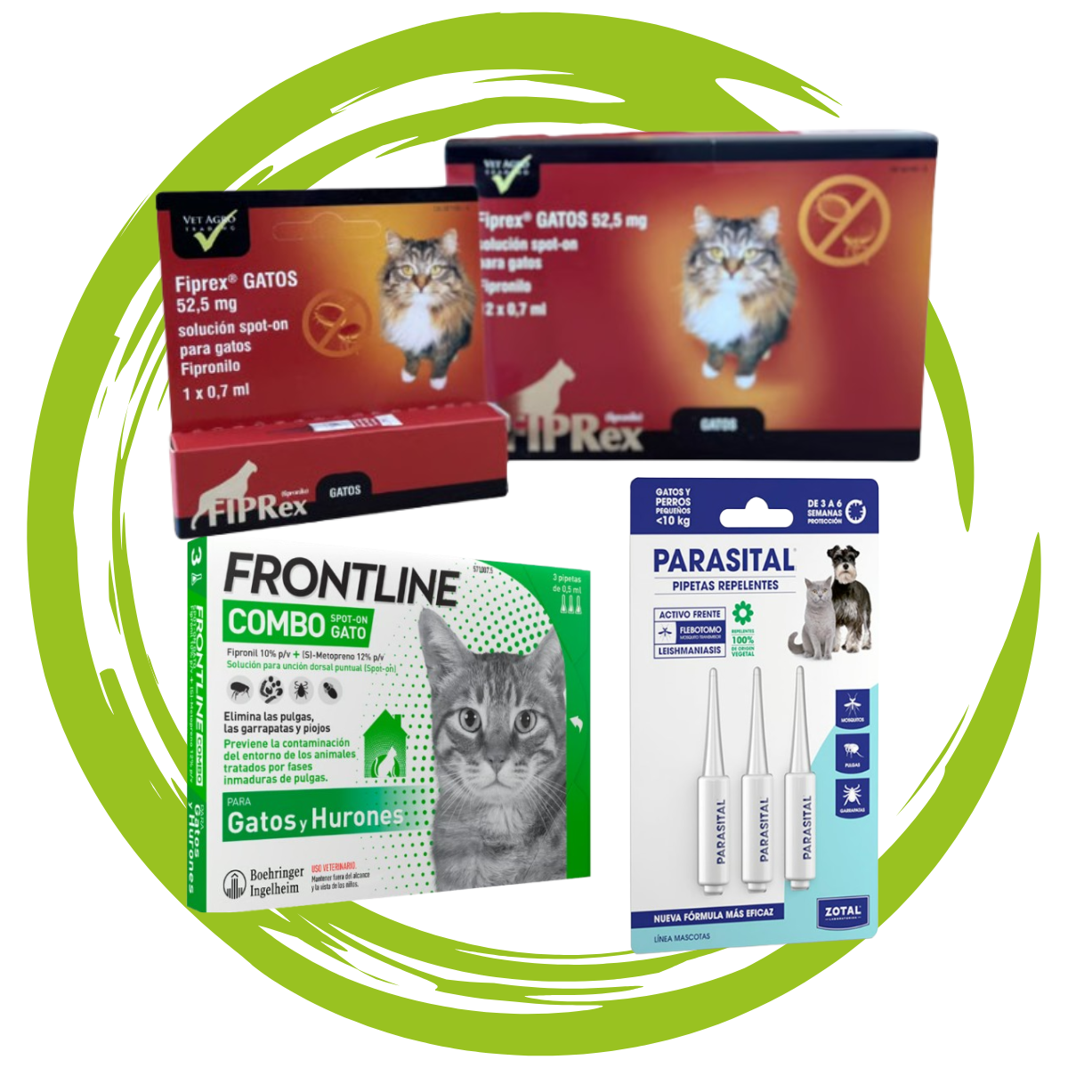 Pipetas antiparásitos gatos