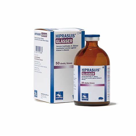 Hiprasuis-Glässer, 50 Ds.