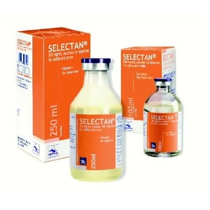 SELECTAN 300 mg/ml, iny 250 ml.