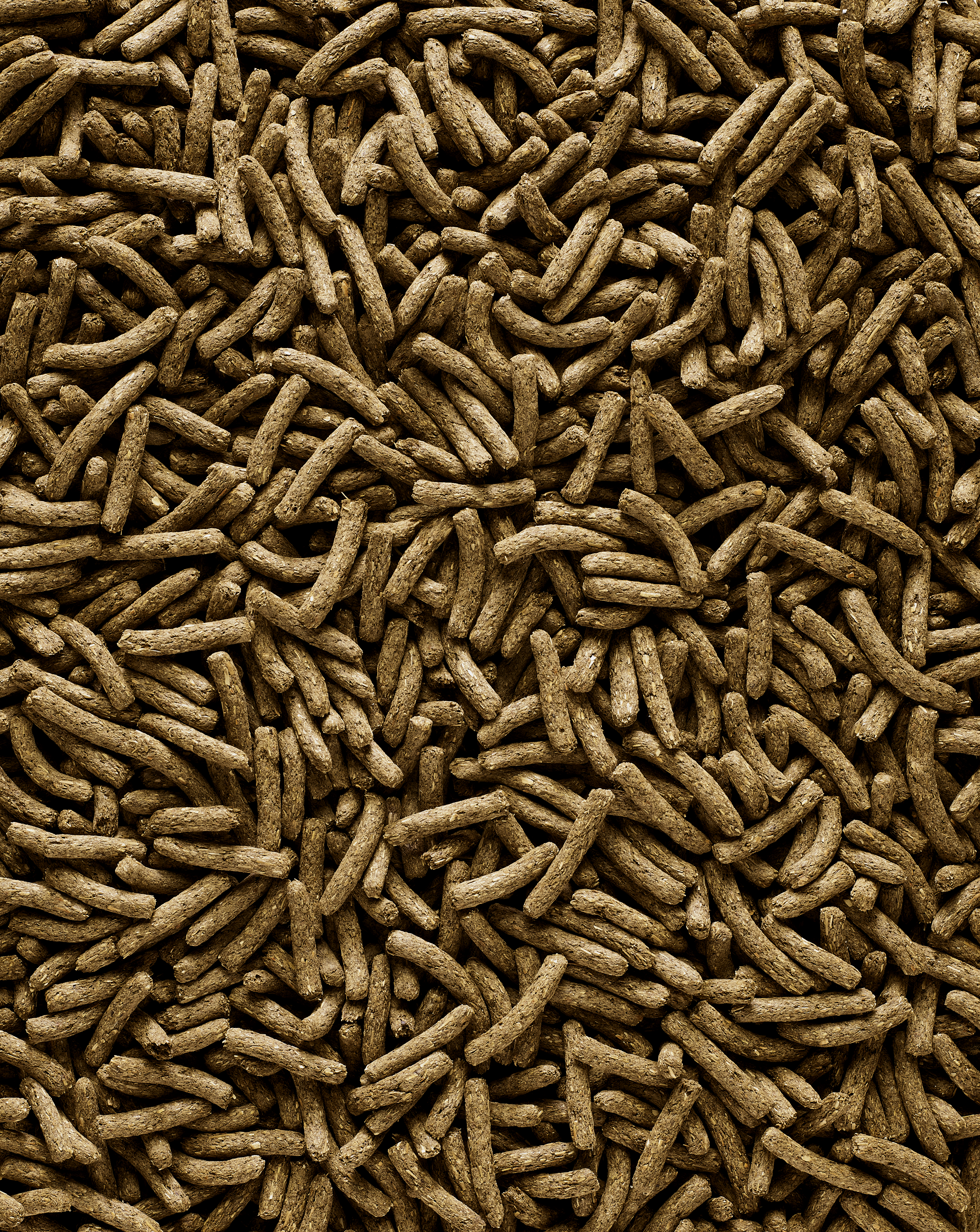 Complet Cuni Junior Pienso Para Conejos Juniors 1,75 Gr