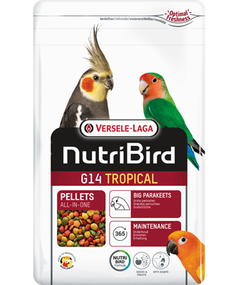 Nutribird G14 Tropical | Alimento Para Periquitos Grandes 10 kg