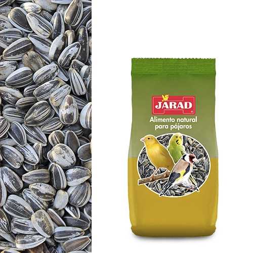 JARAD PIPA IREGUI 300 gr (C.Exp.)