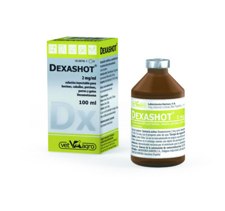 DEXASHOT 2 MG/ML S.I. 100 ML