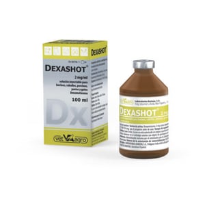 DEXASHOT 2 MG/ML S.I. 100 ML