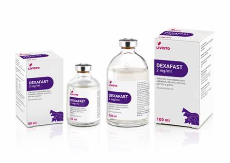 DEXAFAST 2 MG/ML SI 100 ML