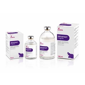 DEXAFAST 2 MG/ML SI 100 ML
