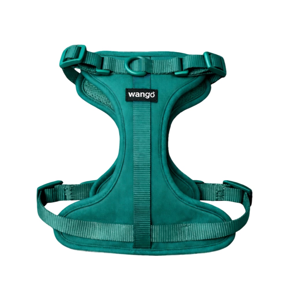 WANGO Arnés Control H Premium | Basic | Anti tirones | Control
