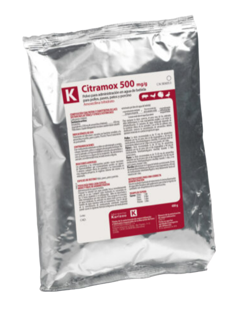 CITRAMOX 500 MGG POLVO 400 Gr