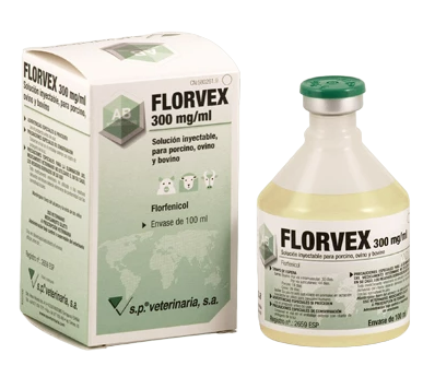 FLORVEX 300 mg/ml SI 100 ML