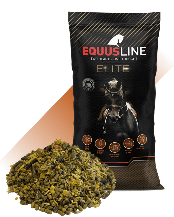 EQUUS LINE ULTIMATE MIX MS SACO 20 KG