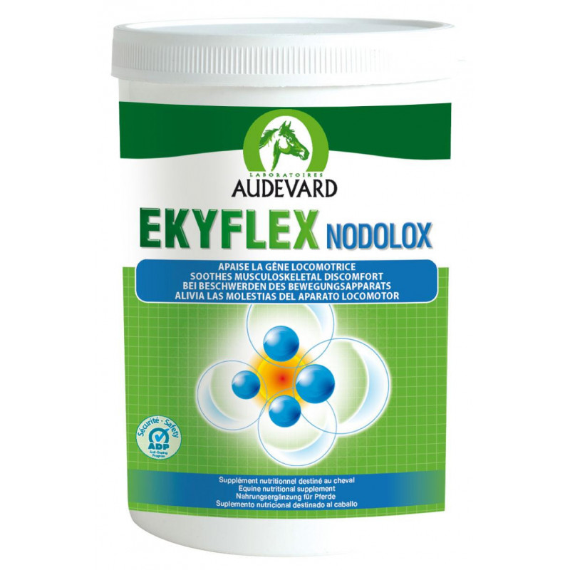 EKYFLEX NODOLOX 1,2 KG AUDEVARD