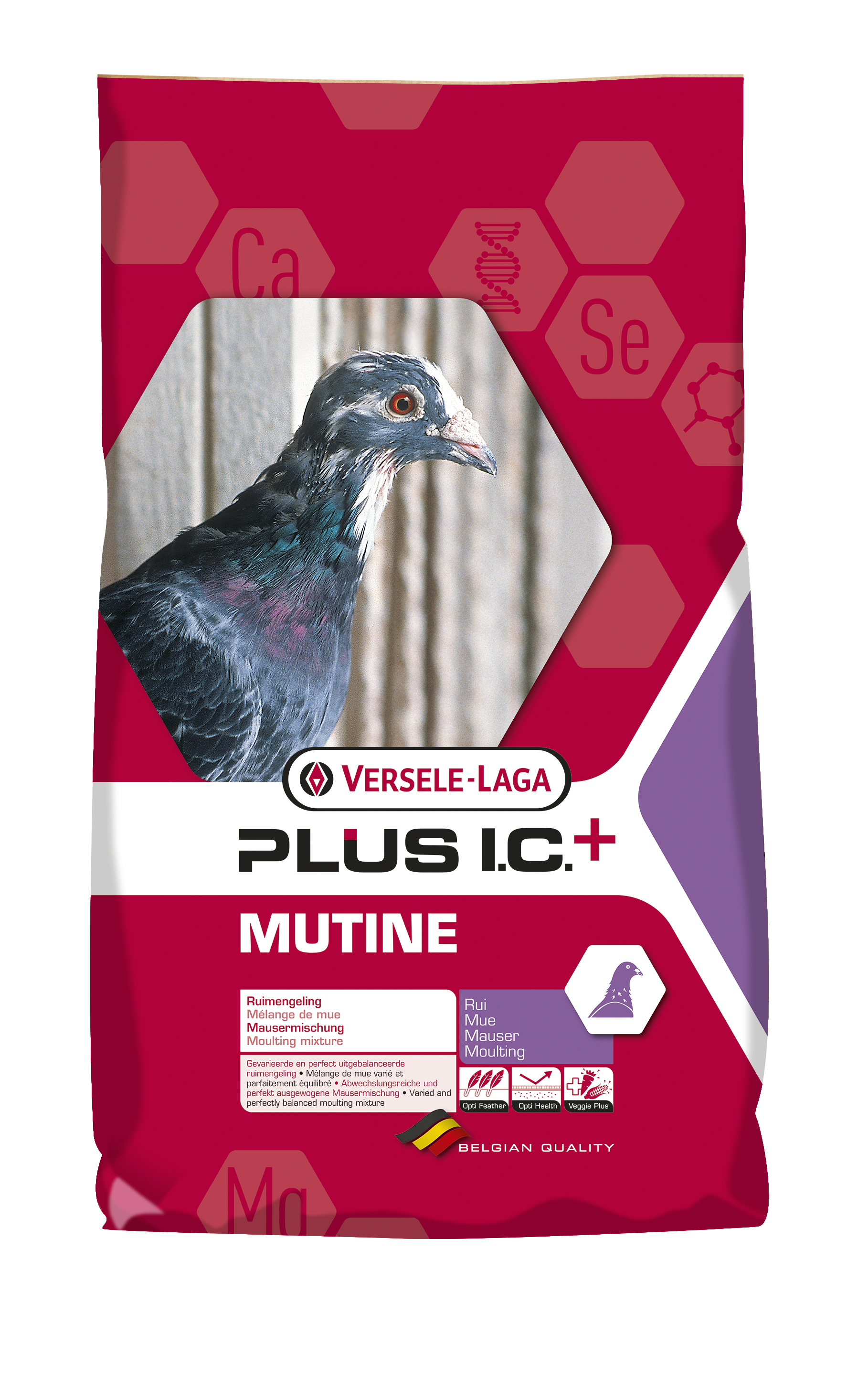 PLUS I.C.+ MUTINE 20 KG