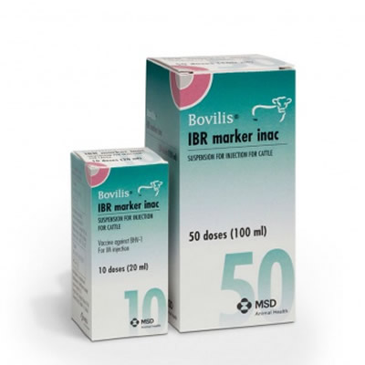 BOVILIS IBR MARKER INAC 100 ML (50 DS)