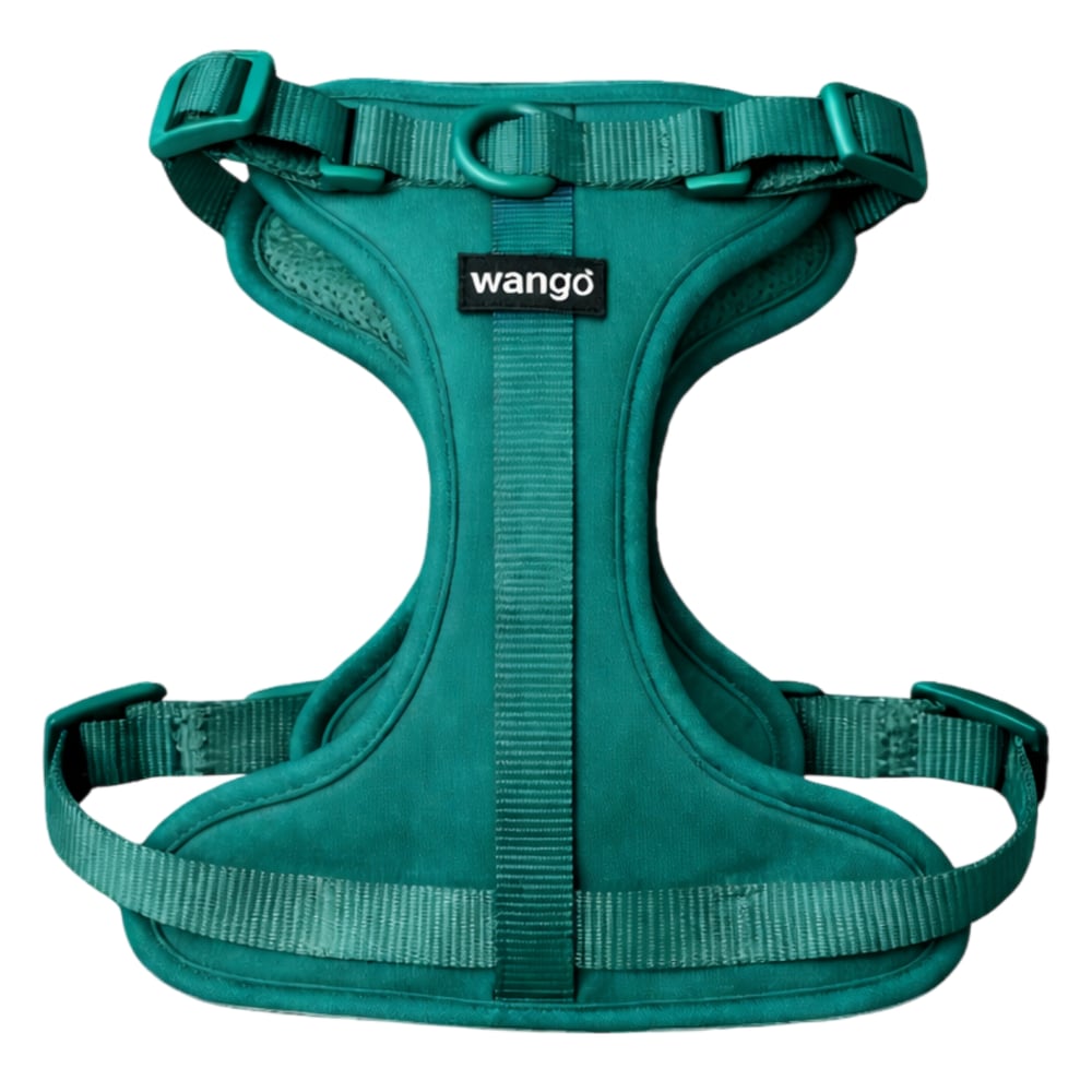 WANGO Arnés Control H Premium | Basic | Anti tirones | Control