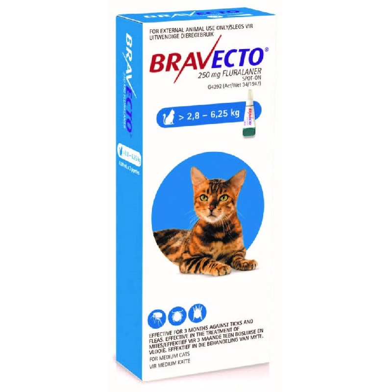 BRAVECTO PLUS GATO 250 MG (2,8-6,25 KG) (AZUL) 1 PIPETA