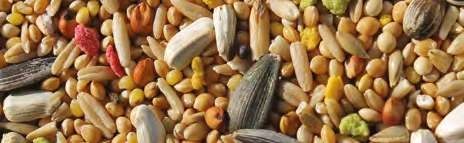 Mixtura Jarad Palomo Mantenimiento M4 25 kg – Alimento Completo y Natural para Palomas