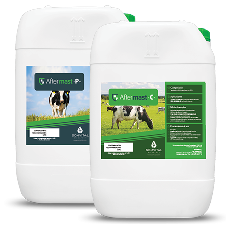 AFTERMAST-C (GARRAFA 20 KG)