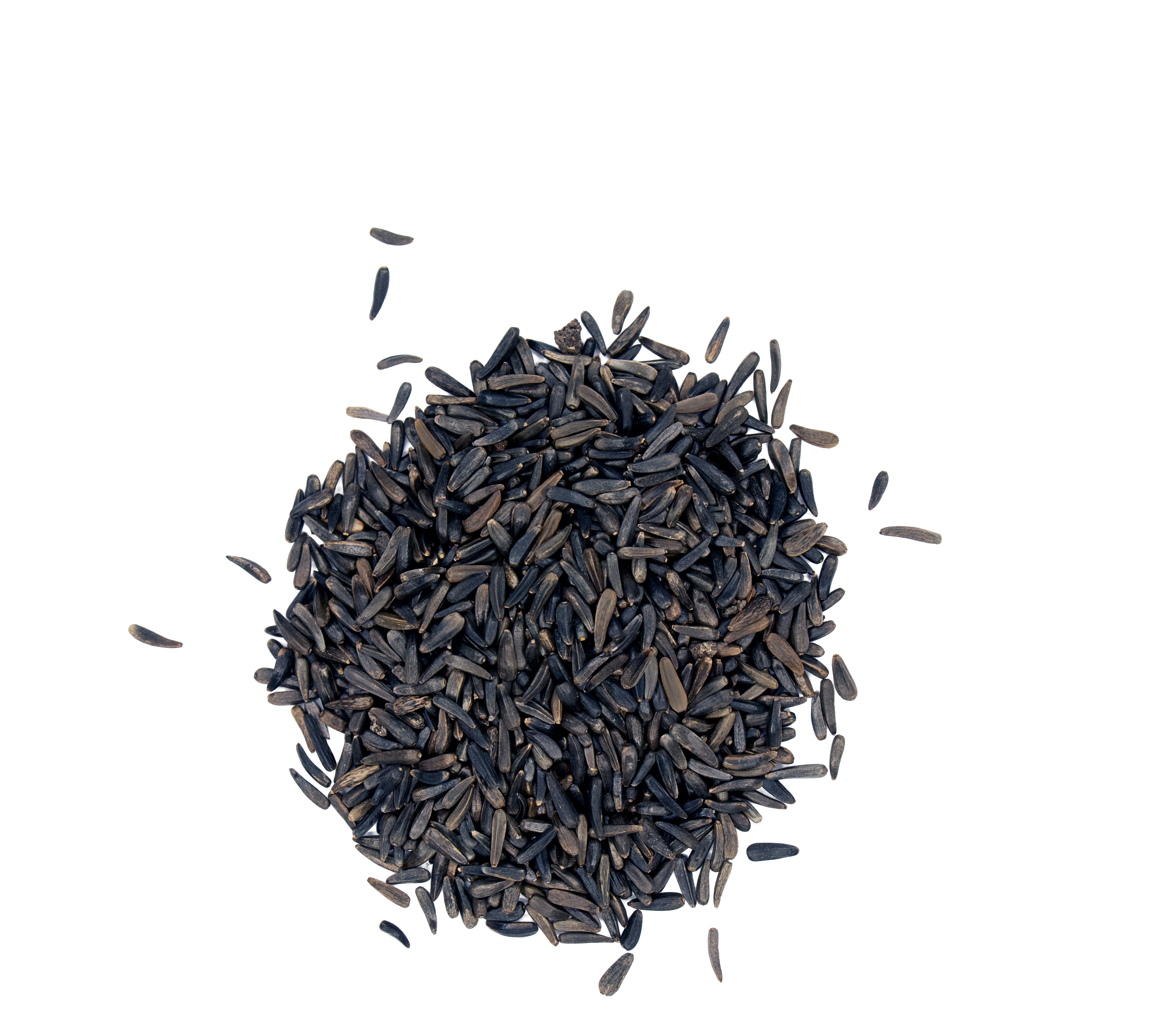 VERSELE-LAGA NEGRILLO 1 KG