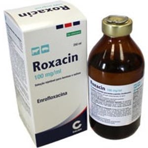 ROXACIN 10% Iny.  250 ml.