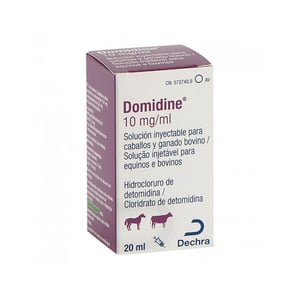 DOMIDINE 10 MG/ML 20 ML (AV)