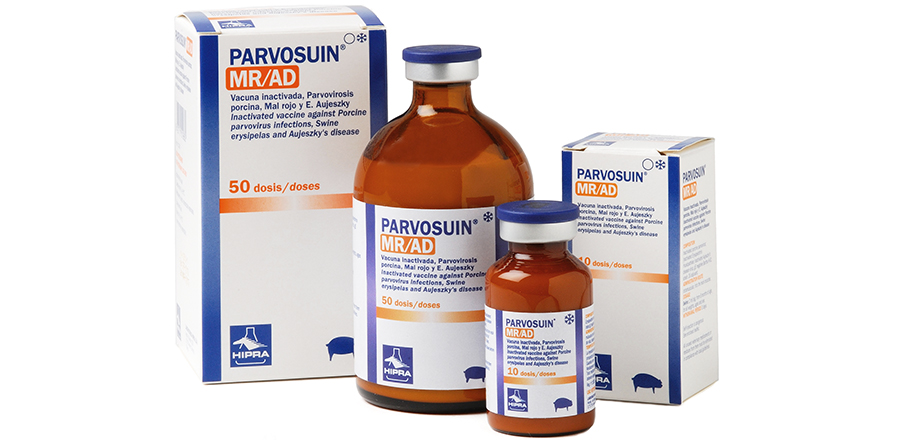 PARVOSUIN-MR/AD, 100 ml (50 ds.)