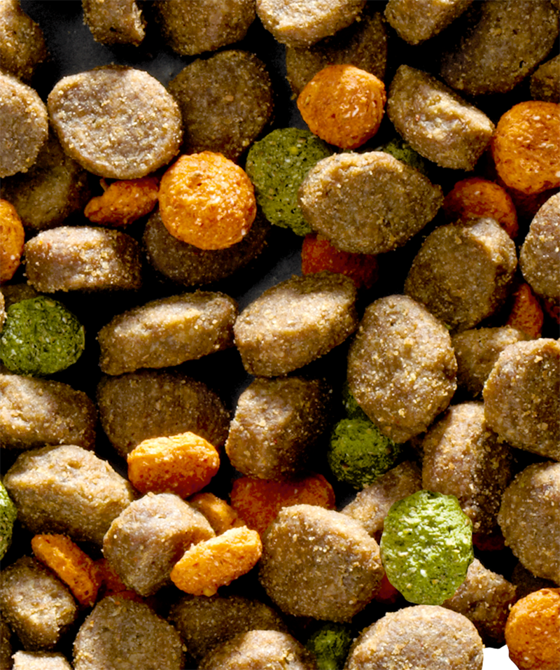 HAPPY LIFE JUNIOR POLLO 10 KG