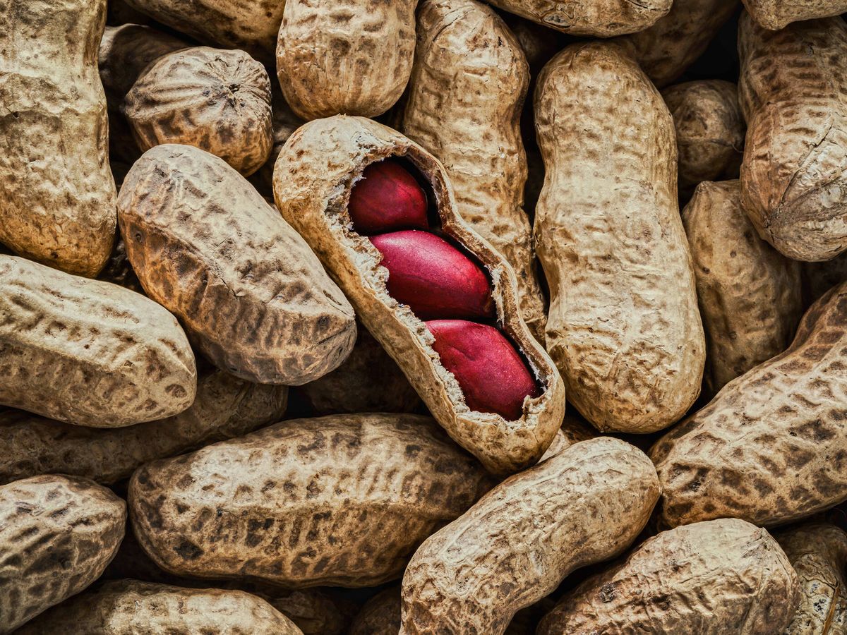 Jarad Cacahuete con Cáscara 2 kg – Nutrición y Entretenimiento Natural para Aves


