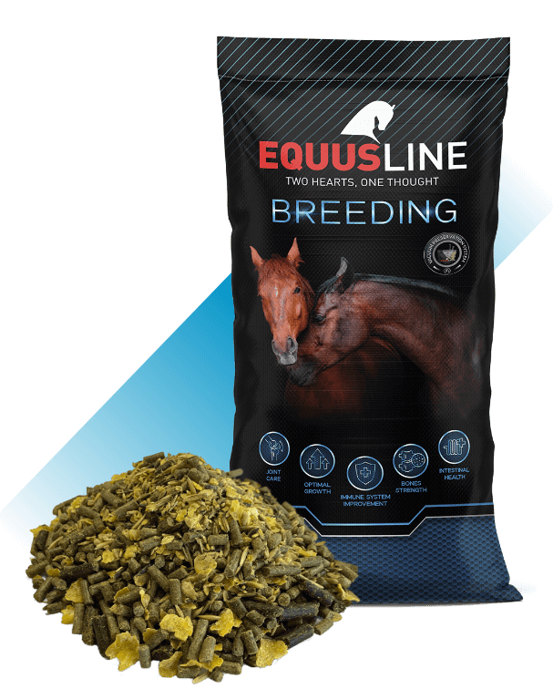EQUUS LINE BREEDING SUPER (POTROS SUPER) MIX SACO 20 KG