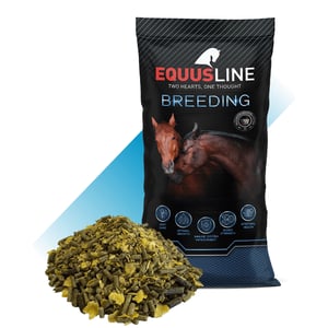EQUUS LINE BREEDING SUPER (POTROS SUPER) MIX SACO 20 KG