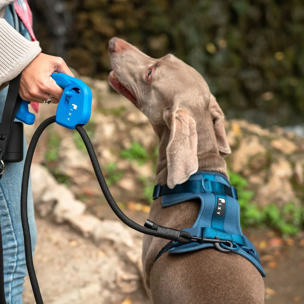 Correa Perro Premium FIXY Antitirones | Control Total y Seguridad | 1,5 m