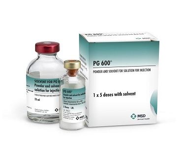 PG 600 MULTIDOSIS (1x5 DS)