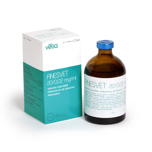 ANESVET 20/0,02 MG/ML SI 100 ML (AV)