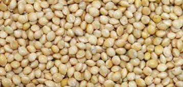 Jarad Semillas De Cañamon Para Pájaros  700 Gr