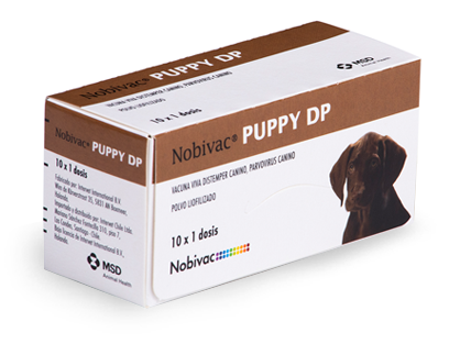 NOBIVAC PUPPY DP 5X1DS+5X1DS DIL
