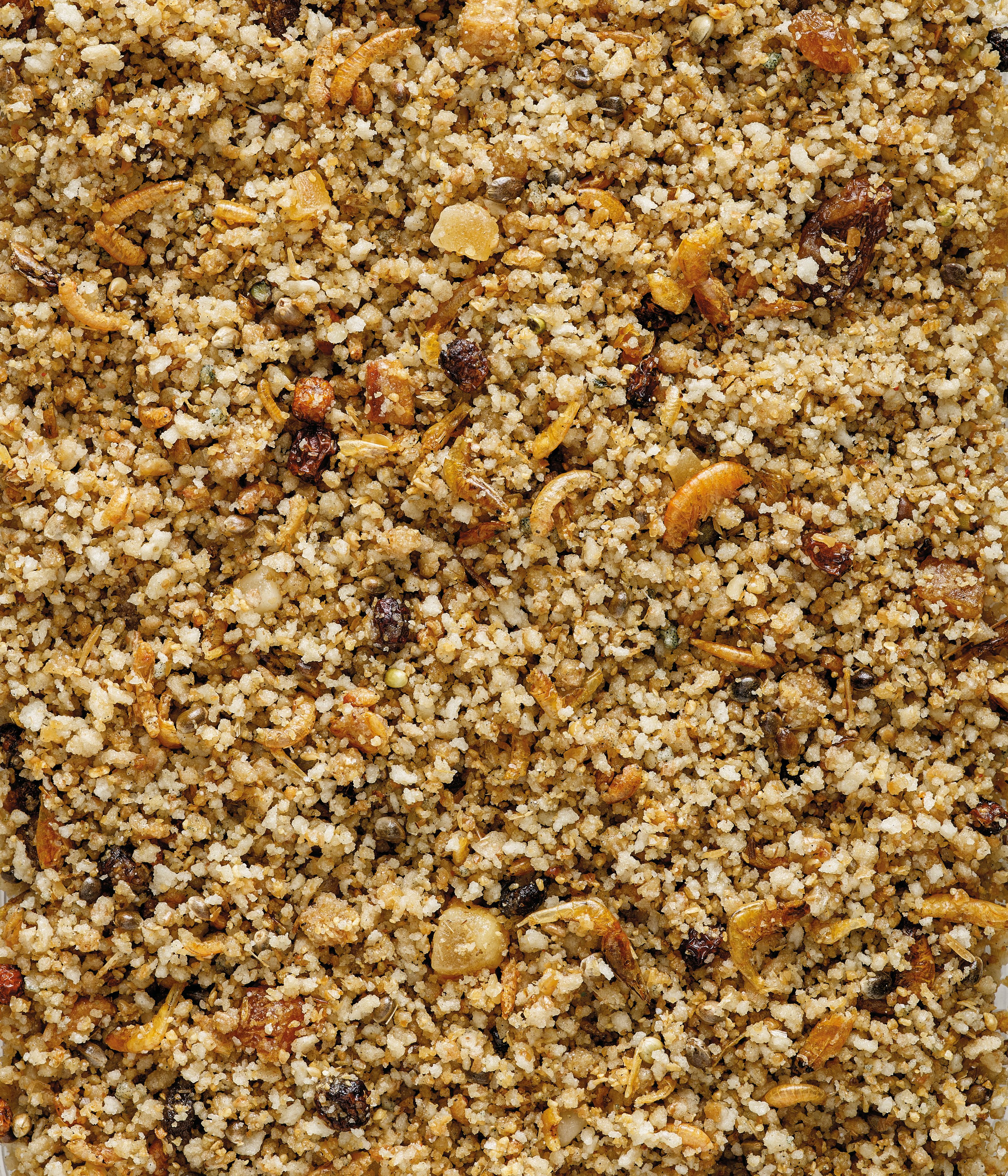 Nutribird Uni Patee - Pasta Universal Alimento Completo Para Aves Frugívoras E Insectívoras Con Espirulina 5 Kg