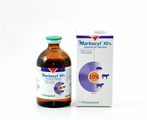 MARBOCYL 10% INY. 100 ml.