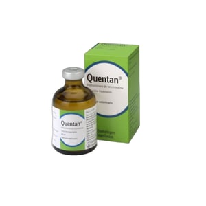 QUENTAN 3 mg/ml SOLUCION INYECTABLE 50 ML