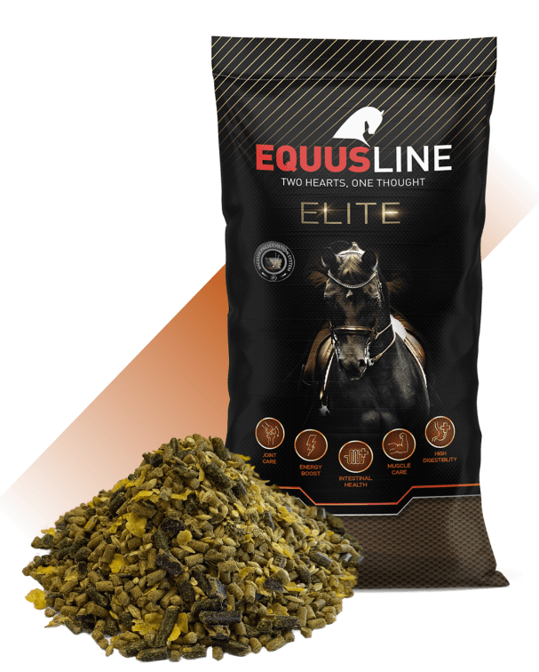 EQUUS LINE COOL MIX MS SACO 20 KG