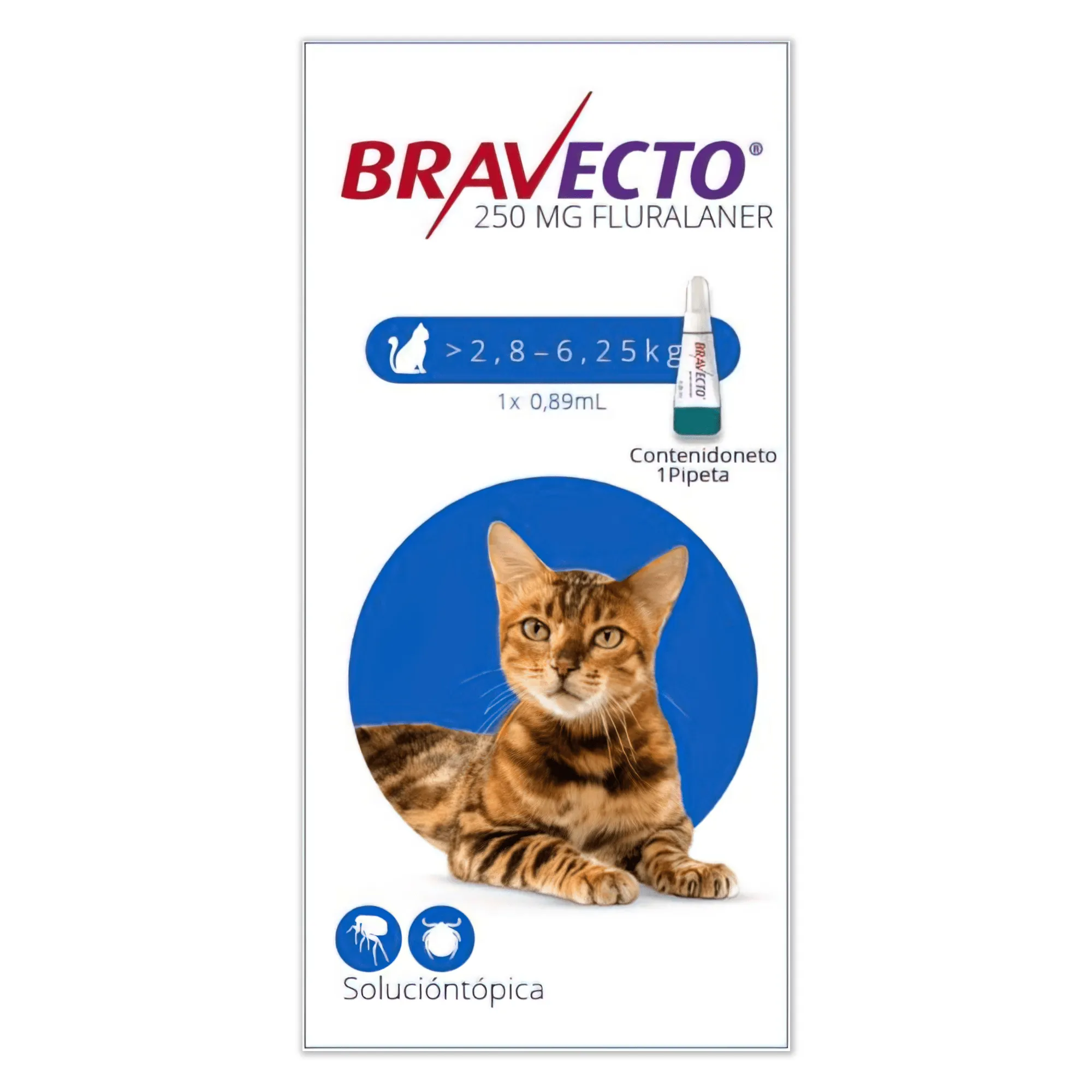 BRAVECTO SPOT ON GATOS 250MG 1X1DS 2,8 - 6,25 KG