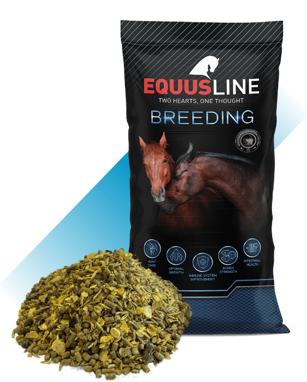 EQUUS LINE COLTS & MARES MIX-YEGUAS Y POTROS MIX MS SACOS 20 KG