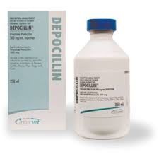 DEPOCILLIN 250 ML