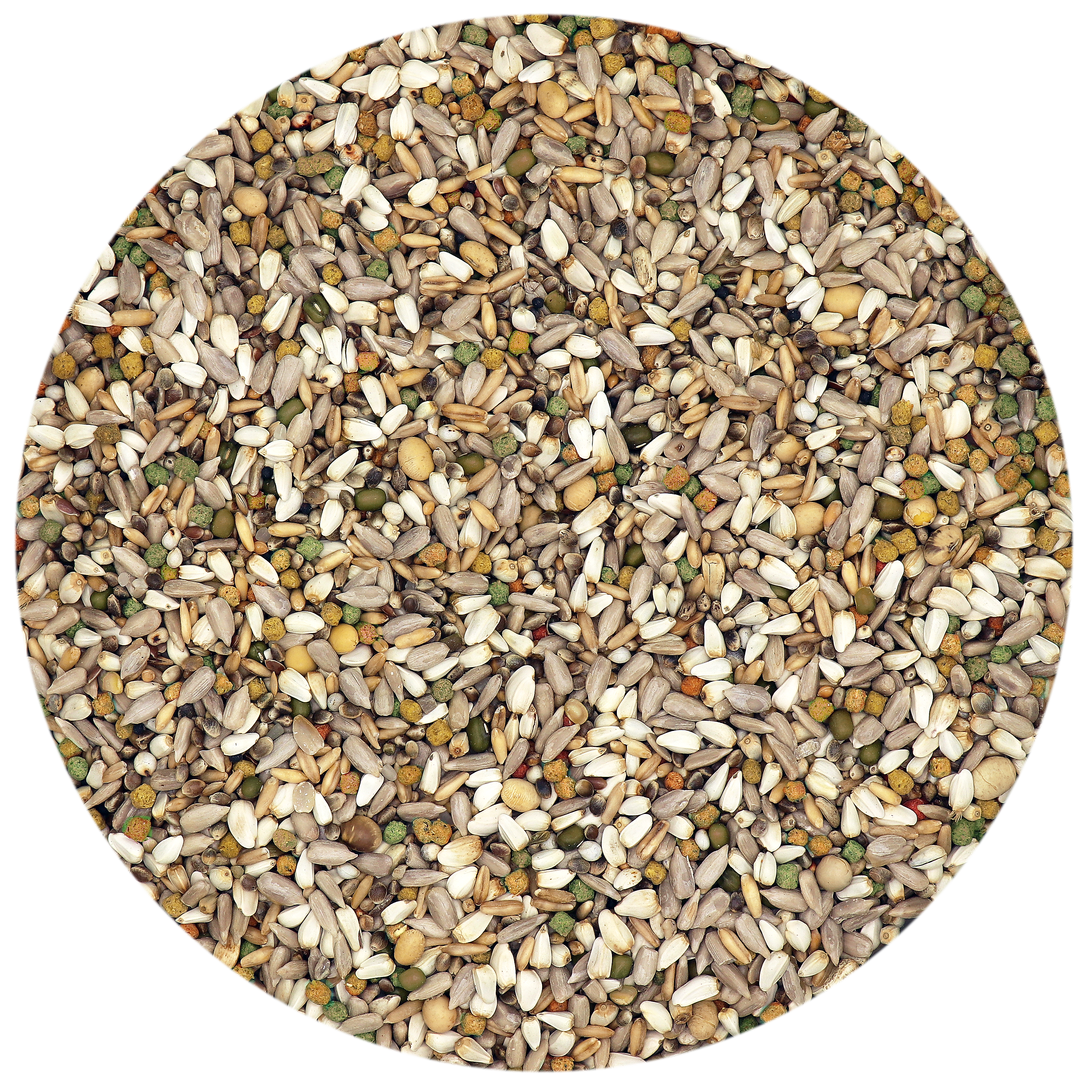 PLUS I.C.+ ENERGY 18 KG