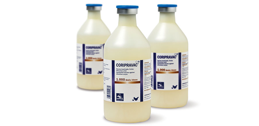 CORIPRAVAC 1000 DS (500 ML)