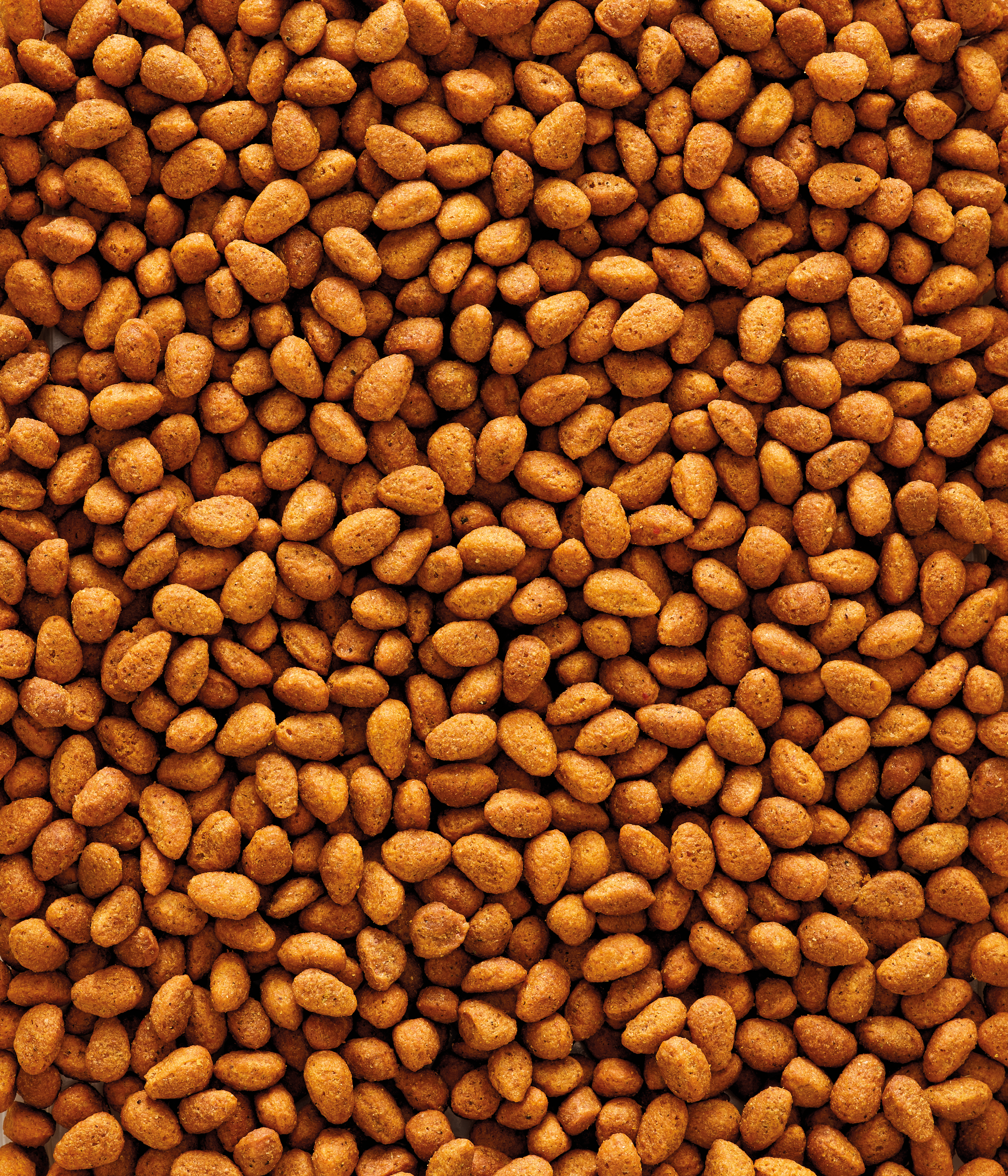 Nutribird G14 Original Alimento Para Periquitos Grandes Monocolor 1 Kg