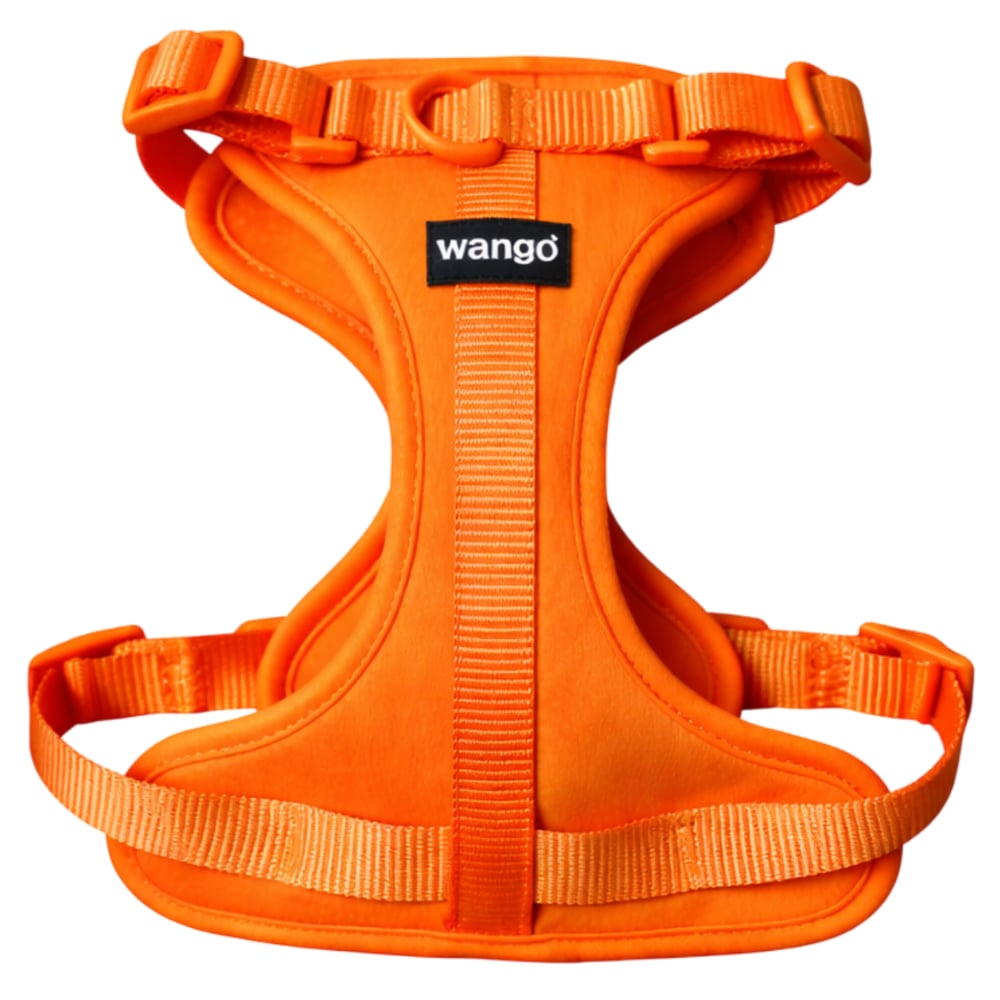 WANGO Arnés Control H Premium | Glow | Anti tirones | Control