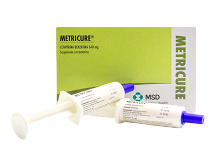 Metricure, 10 inyectores